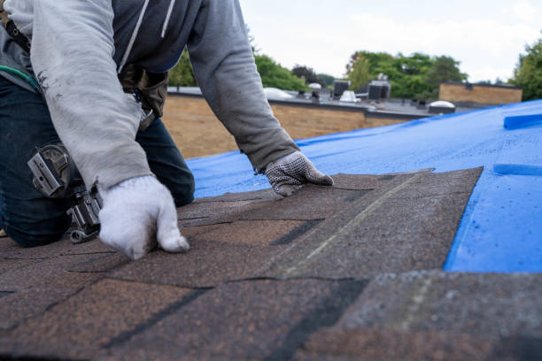 Best Shingle Roofing Installation  in Interlachen, FL